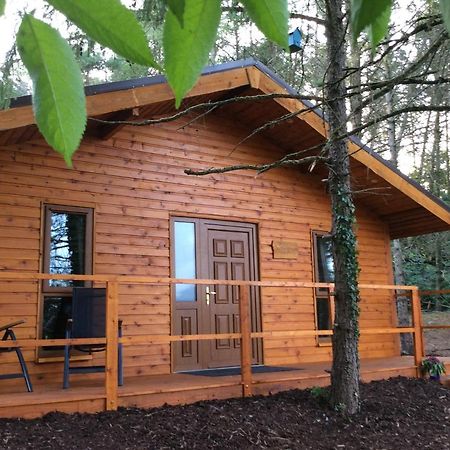Butterfly Cabin Limerick Junction エクステリア 写真