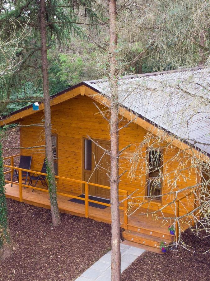 Butterfly Cabin Limerick Junction エクステリア 写真