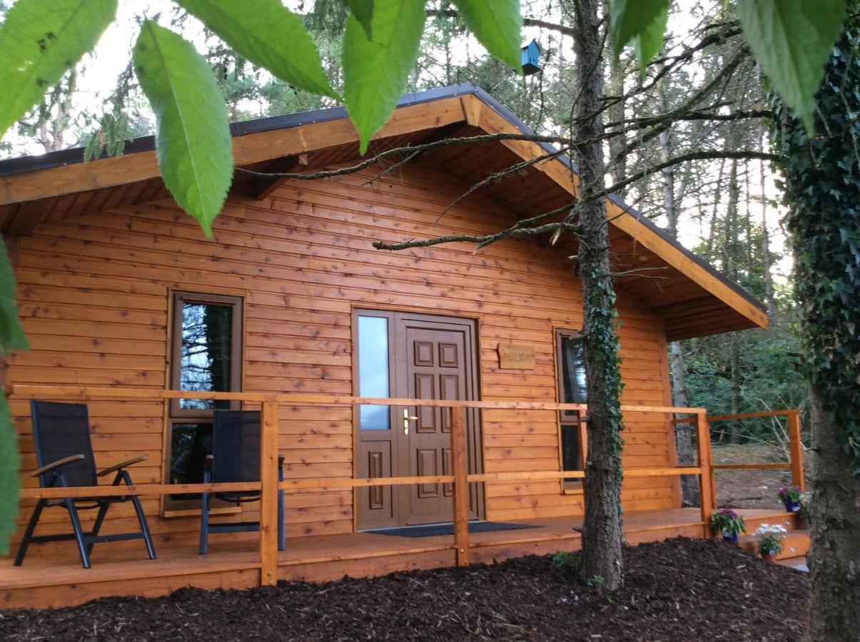 Butterfly Cabin Limerick Junction エクステリア 写真
