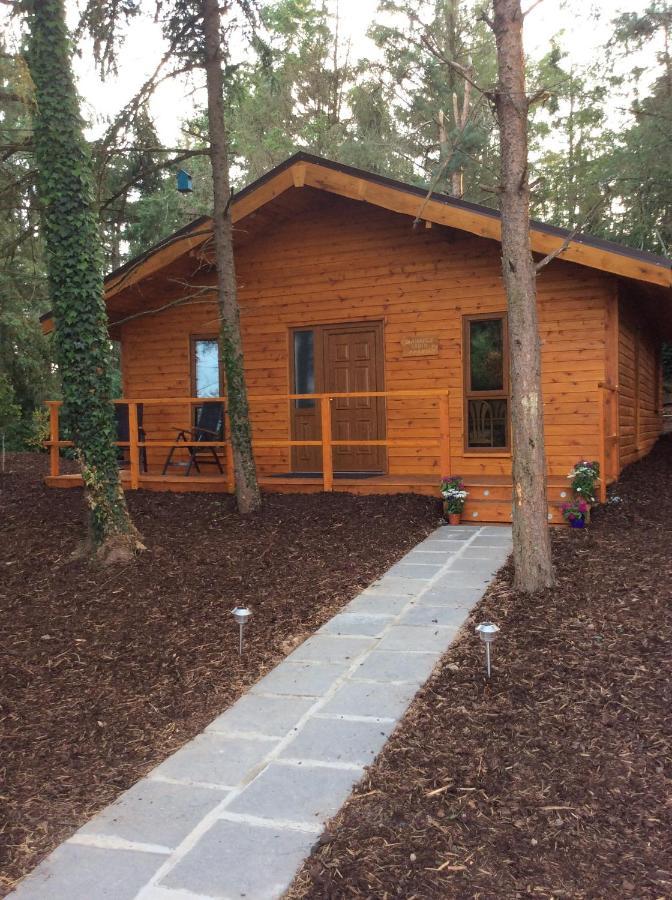 Butterfly Cabin Limerick Junction エクステリア 写真